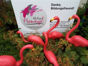 Flamingos2